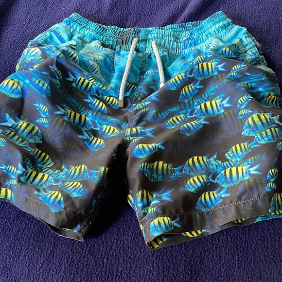 Mens bathing suits - Picture 4 of 5